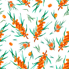 Natural organic sea buckthorn seamless pattern. Hand drawn watercolor on white background. Perfect for invitation, greeting cards and other design. Wild berries branches.