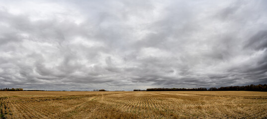 Harvested wheat field in a golden fall color under a moody looking stormy sky
