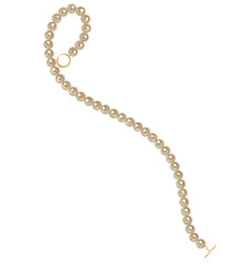 Pearl jewelry. Isolated PNG