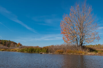 Kalamazoo River, Michigan - October Collection
