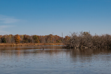 Wilderness and Travel