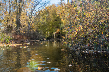 Fototapeta premium Kalamazoo River, Michigan - October Collection