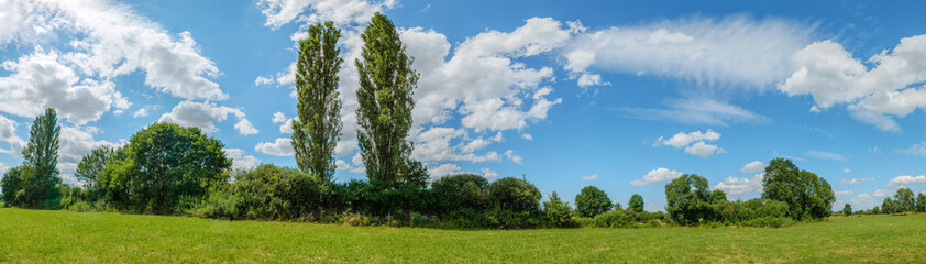 Fototapeta na wymiar Panorama of a green meadow on a sunny day in spring.