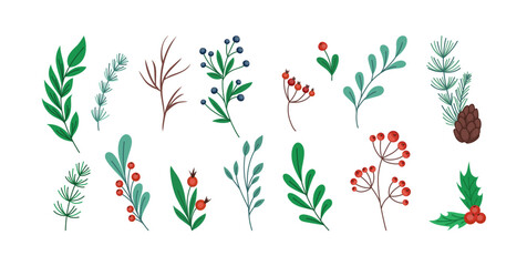 Christmas branch. Holly twig. Pine stems and cones. Hand drawn winter plant sketch. Mistletoe leaves and flowers. Rowan berries. Doodle floral botanical. Vector illustration elements set