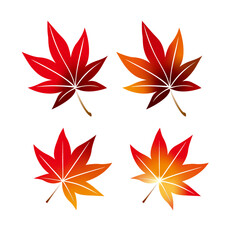 紅葉、もみじ、秋、葉、木の葉、季節、四季