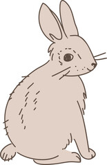 simplified funny vector sketch image of a hare