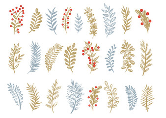 Branches collection hand drawn, vector.	

