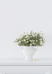 white flowers in white ceramic vase in white interior