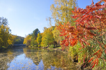 Autumn park in Mezhyhirya (former ex-president residence of President Yanukovych) in Kyiv region, Ukraine 
