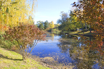 Autumn park in Mezhyhirya (former ex-president residence of President Yanukovych) in Kyiv region, Ukraine	