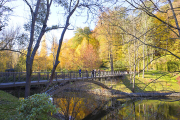 Bridge in autumn park in Mezhyhirya (former ex-president residence of President Yanukovych) in Kyiv region, Ukraine	