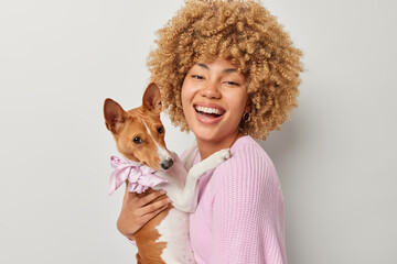 Positive curly female owner poses with pedigree basenji dog embraces pet expresses love and care wears knitted pink jumper isolated over white background. Domestic animals and veterinary concept