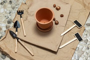 Terracotta pot and tools for houseplants. Top view.