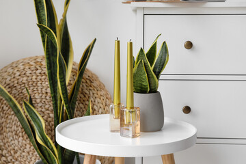 Holders with candles and houseplant on white table in room