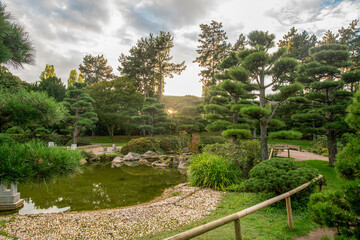 Idyllic landscape in Dusseldorf  in the japanese garden - topiary pine trees, grass, and garden pathes