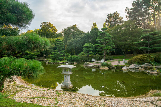 Idyllic landscape in Dusseldorf  in the japanese garden - topiary pine trees, grass, and garden pathes