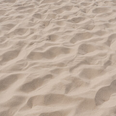Fototapeta na wymiar Beige beach sand waves surface texture. Desert dune landscape