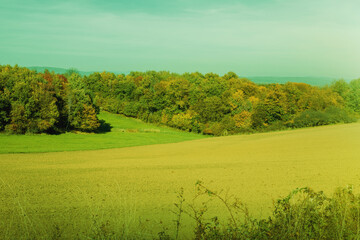 Naklejka premium Green meadow on a sunny day in autumn.Colorful trees in background.