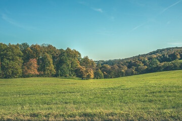 Green meadow on a sunny day in autumn.Colorful trees in background.