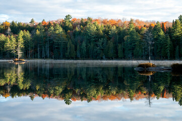 An autumn colored forest reflects on a calm lake. Pincher Lake, Algonquin Provincial Park, Ontario, Canada.