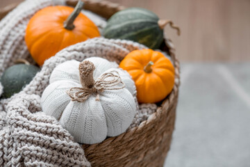 Still-life. Knitted pumpkin, orange pumpkins, beige knitted plaid in a homemade wicker basket. Cozy...