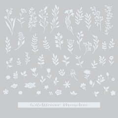 Fototapeta premium Grasses, herbs, flowers, leaves, various wild plants big collection, vector illustration. Simple solid one color design. Garden, meadow, flowerbed botanical isolated elements. Floral icon, logo
