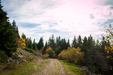 Lans En Vercors 10 2022 hiking on the heights of Lans en Vercors, discovering the vertigo of the peaks, magnificent blue sky and autumn colors