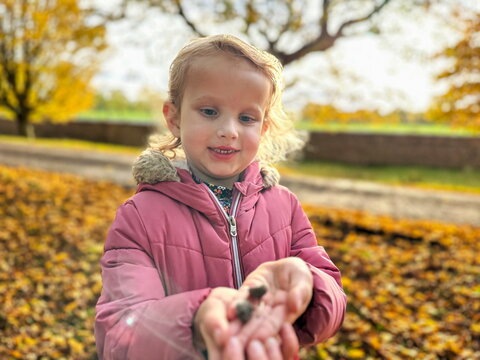 Autumn Child Portrait In Fall Yellow Leaves - Little Girl in the park playing with Acorns - Beautiful kid playing in park outdoor - Autumn time in Fall season - Girl playing with Acorns in the park 