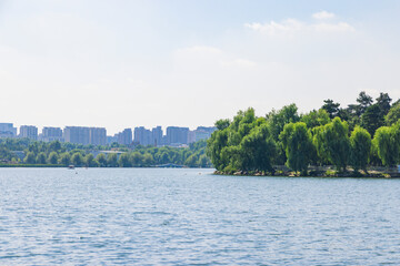 Fototapeta premium Natural landscape of Nanhu Park in Changchun City, Jilin province
