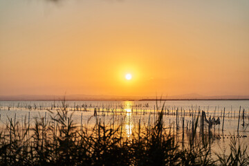 Sunset by the Albufera lake in valencia