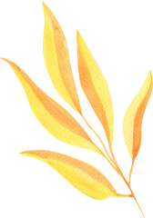 Yellow Watercolor Autumn Leaf