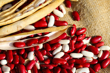 Red and white beans with pods on burlap background. Ecological product. The concept of a good...