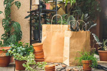 Buying house plants at the plant store. Paper bags