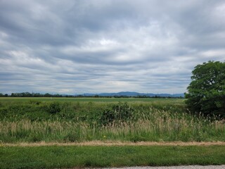 field and blue sky