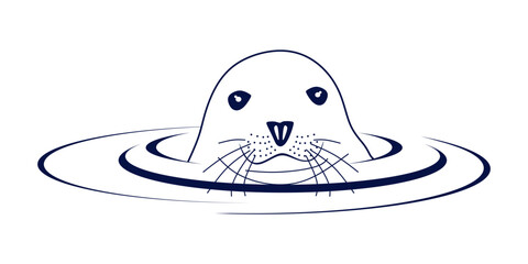 Cute seals on the water minimal design. Seal animal isolated concept. Sea animal vector linear illustration