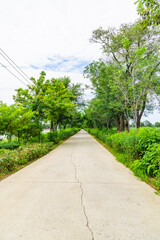 Naklejka premium path in the park
