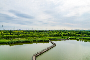 Islands and trestles in the lake photographed from above