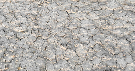 The texture of a dry cracked surface of a dried riverbed with a small white shell in the middle