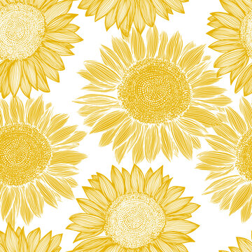 Seamless pattern yellow sunflowers. Vector illustration