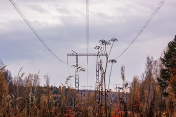 Power lines with a voltage of 500 kilovolts in the suburbs of Nizhny Tagil. October 2022