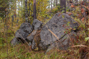 Obraz premium stone on the hillock of Mount Sinyaya, Baranchinsky, September 2022