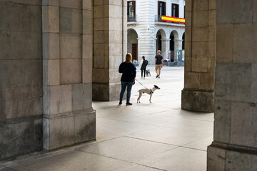 Walking the dog in the Plaza Porticada in Santander