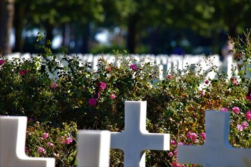 Cimetière Américain Colleville