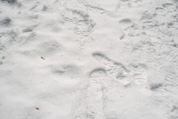 Winter day. Footprints in the fallen snow. Snow.