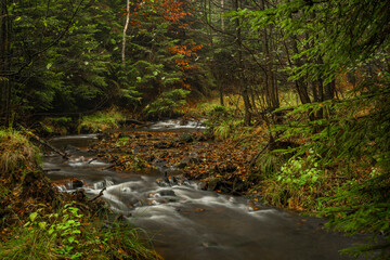 Hamersky creek with waterfalls in Luzicke mountains in color autumn day