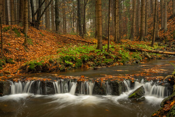 Hamersky creek with waterfalls in Luzicke mountains in color autumn day
