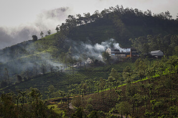 Fototapeta premium landscape with fog