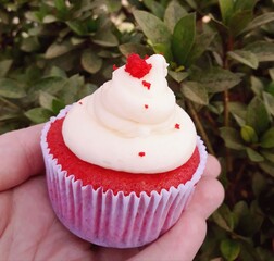 cupcake with pink frosting