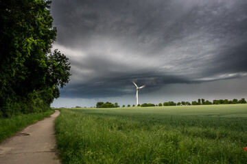 wind turbines farm