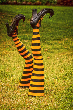 Witch legs - Halloween Lawn Decoration of legs in striped tights sticking out of ground upside down with black curled toe witch shoes - blurred outdoor background